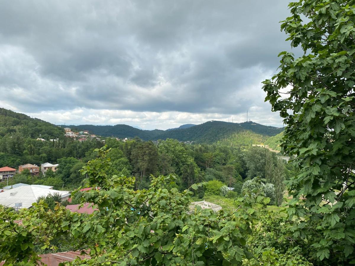Guest House Royal Comfort With Terrace Kutaisi Exterior photo
